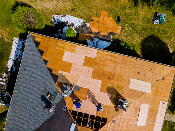 Best Roof Maintenance Services  in Hewlett, NY